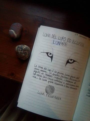 50879390_2428055607209165_2214500711369015296_n