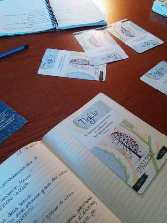 51117002_2438309212850471_3241466029368410112_n