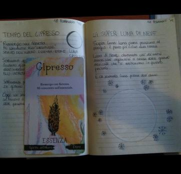 52338382_2472160736131985_85694106612793344_n