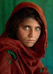 134809887-8ddc6038-ec16-4b16-ad8a-09e24783e103