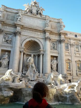 FONTANA DI TREVI LAVORO5